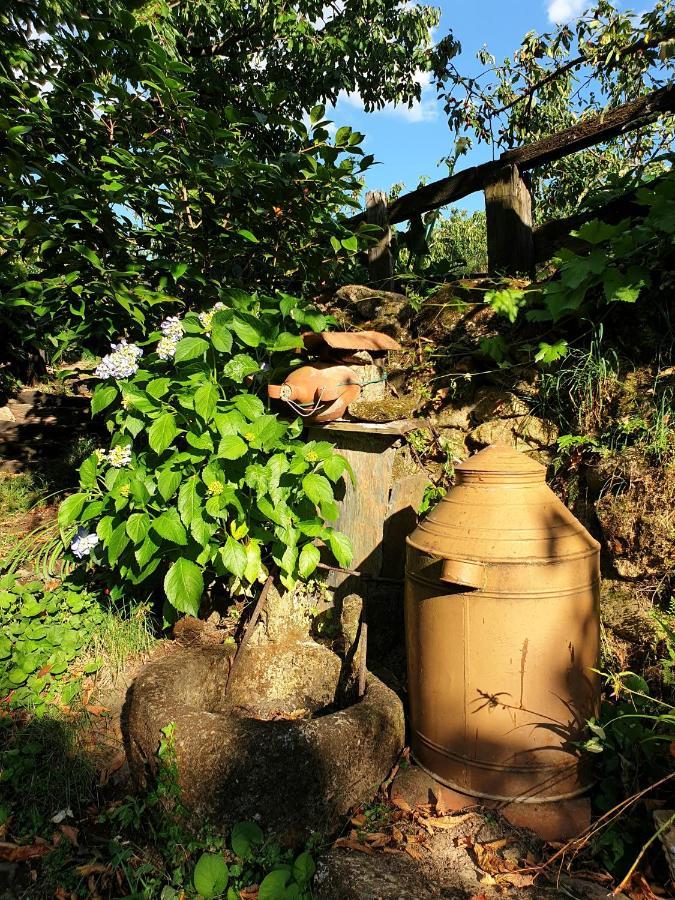 Casas Rurales El Cerro Y El Cerezo 纳瓦孔塞霍 外观 照片