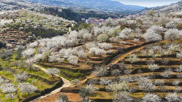 Casas Rurales El Cerro Y El Cerezo 纳瓦孔塞霍 外观 照片