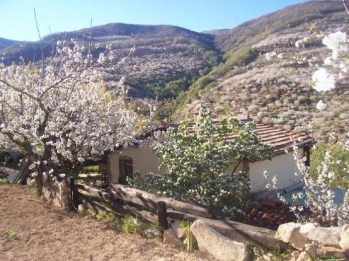 Casas Rurales El Cerro Y El Cerezo 纳瓦孔塞霍 外观 照片